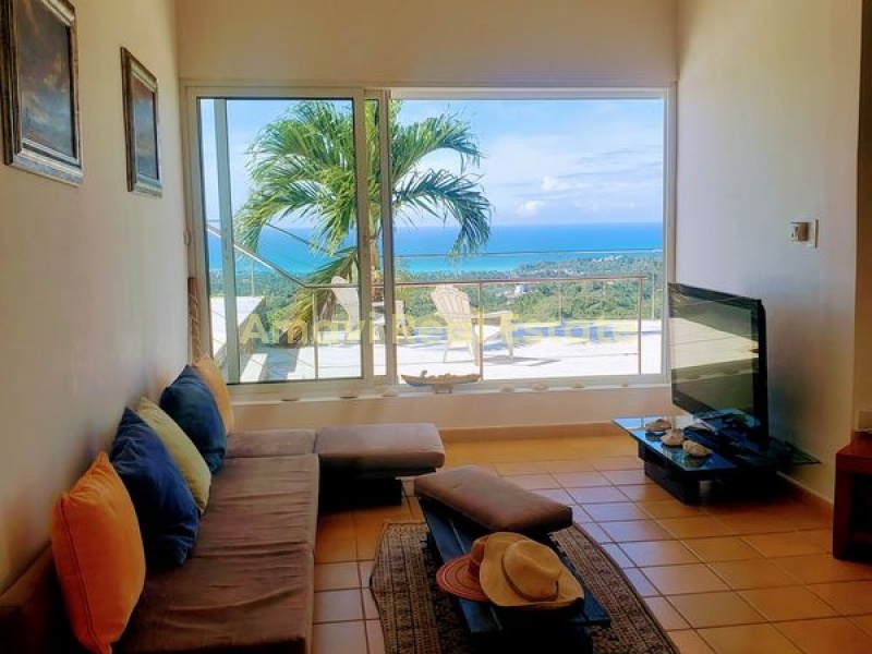 Hoyo Cacao, 3 Bedrooms Bedrooms, ,3 BathroomsBathrooms,Villa,For Sale,1030