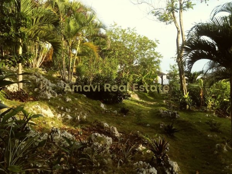 Hoyo Cacao, 3 Bedrooms Bedrooms, ,3 BathroomsBathrooms,Villa,For Sale,1030
