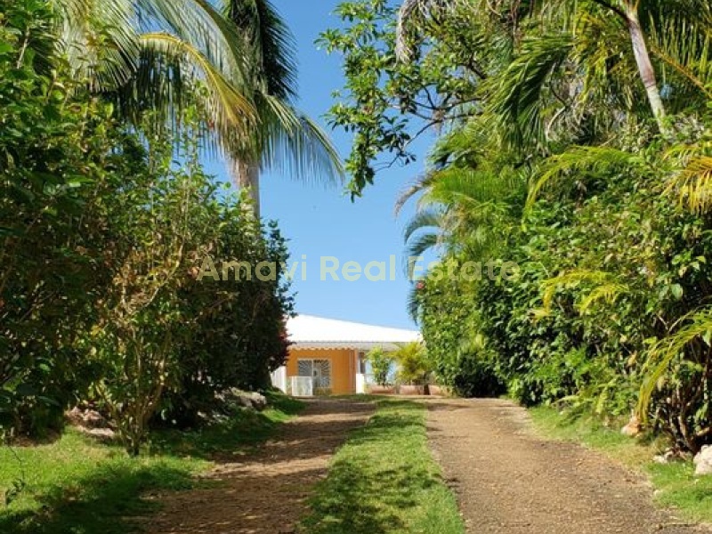 Hoyo Cacao, 3 Bedrooms Bedrooms, ,3 BathroomsBathrooms,Villa,For Sale,1030
