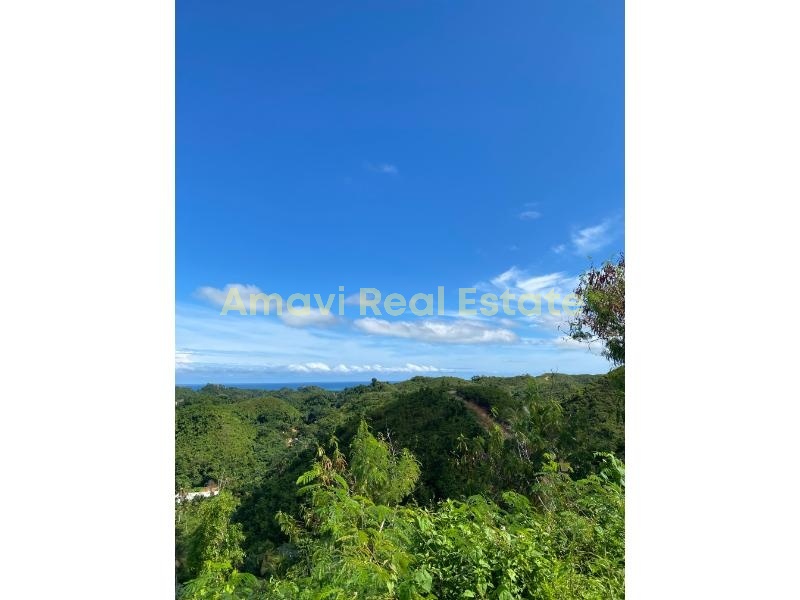 Hoyo Cacao, 0 , 0 ,0,Land,For Sale,0,1296