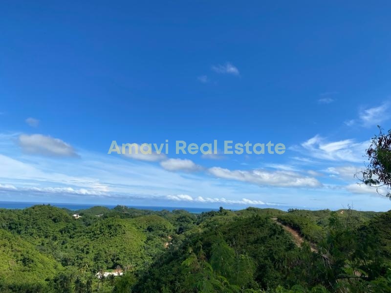 Hoyo Cacao, 0 , 0 ,0,Land,For Sale,0,1296
