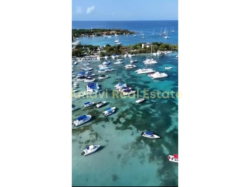 Samana, 1 Bedroom Bedrooms, ,1 BathroomBathrooms,Condominium,For Sale,1305