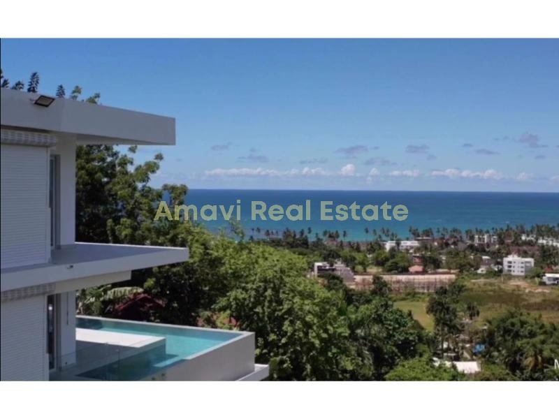 Las Terrenas, 4 Bedrooms Bedrooms, ,4 BathroomsBathrooms,Villa,For Sale,1306