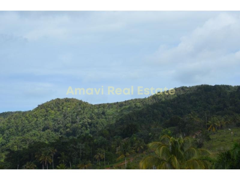 Playa Rincon, 0 , 0 ,0,Land,For Sale,0,1312