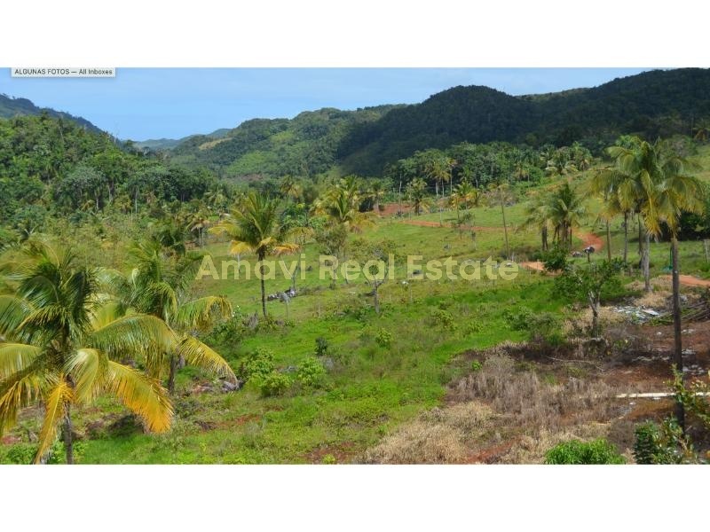 Playa Rincon, 0 , 0 ,0,Land,For Sale,0,1312