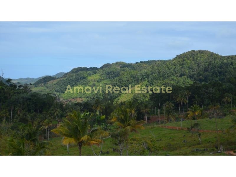 Playa Rincon, 0 , 0 ,0,Land,For Sale,0,1312