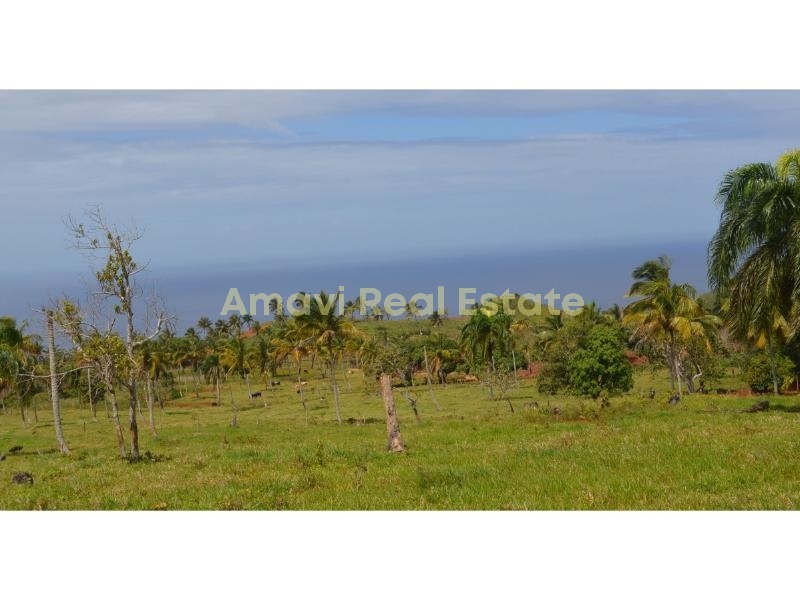 Playa Rincon, 0 , 0 ,0,Land,For Sale,0,1312