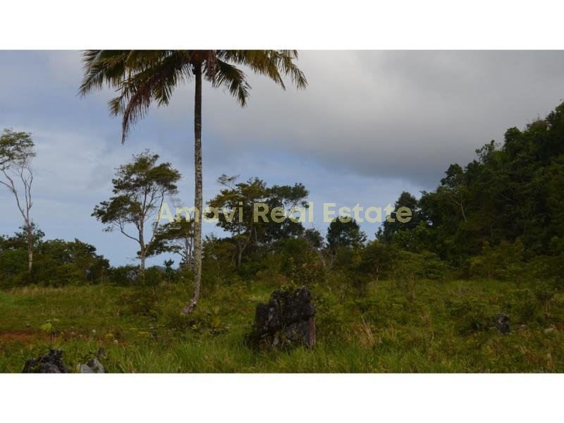 Playa Rincon, 0 , 0 ,0,Land,For Sale,0,1312