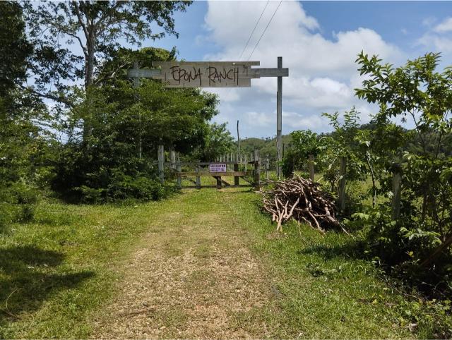 Las Terrenas, los puentes, 0 , 0 ,0,Land,For Sale,0,1314