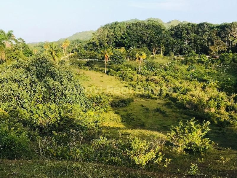 Las Terrenas, los puentes, 0 , 0 ,0,Land,For Sale,0,1314