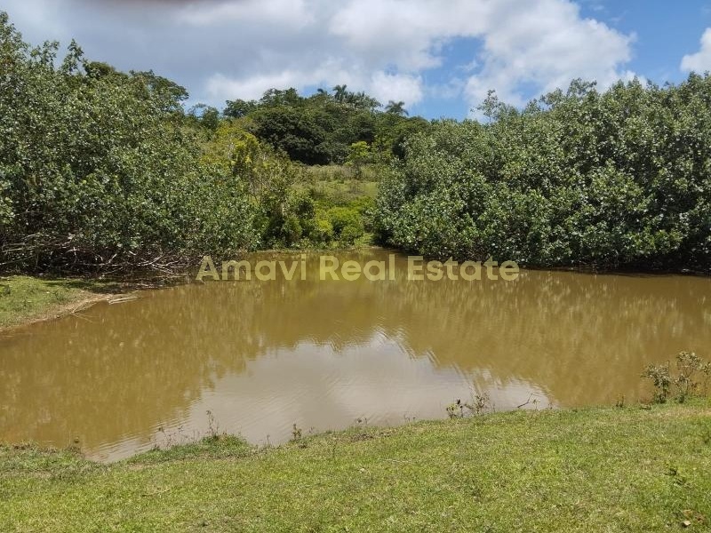 Las Terrenas, los puentes, 0 , 0 ,0,Land,For Sale,0,1314