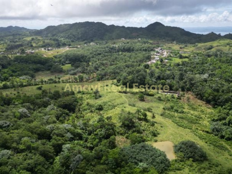Las Terrenas, los puentes, 0 , 0 ,0,Land,For Sale,0,1314