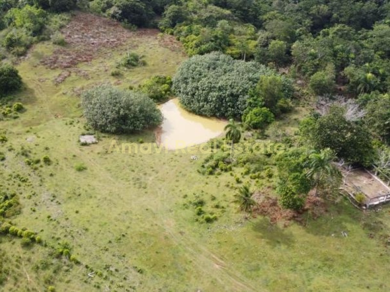 Las Terrenas, los puentes, 0 , 0 ,0,Land,For Sale,0,1314