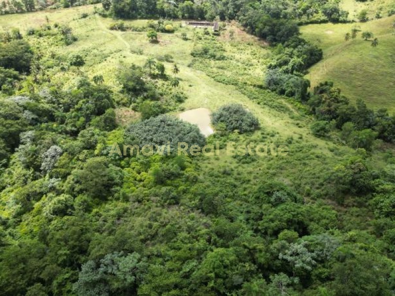 Las Terrenas, los puentes, 0 , 0 ,0,Land,For Sale,0,1314