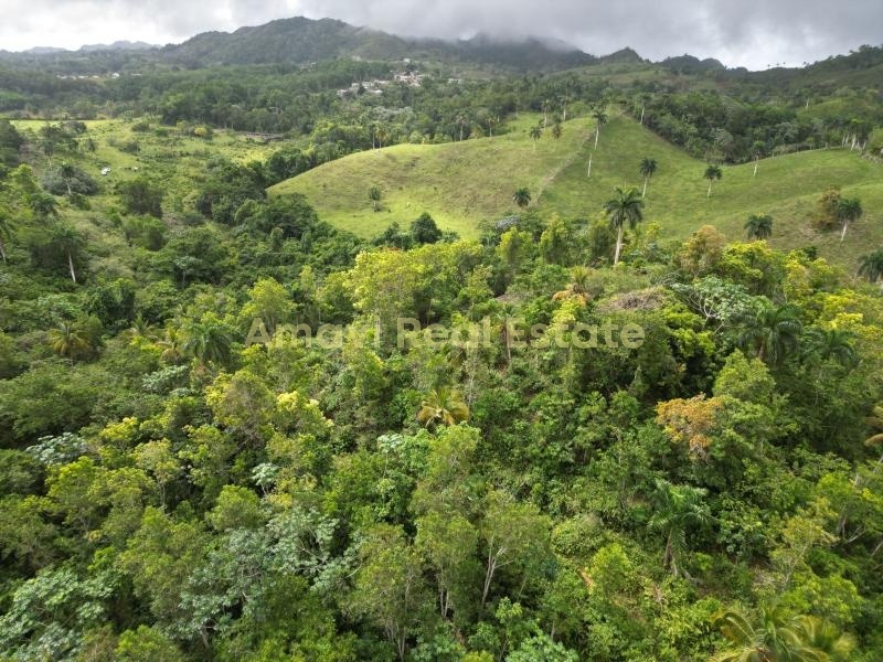 Las Terrenas, los puentes, 0 , 0 ,0,Land,For Sale,0,1314