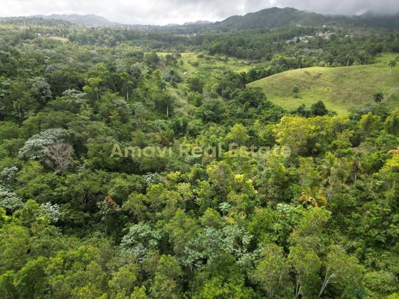 Las Terrenas, los puentes, 0 , 0 ,0,Land,For Sale,0,1314