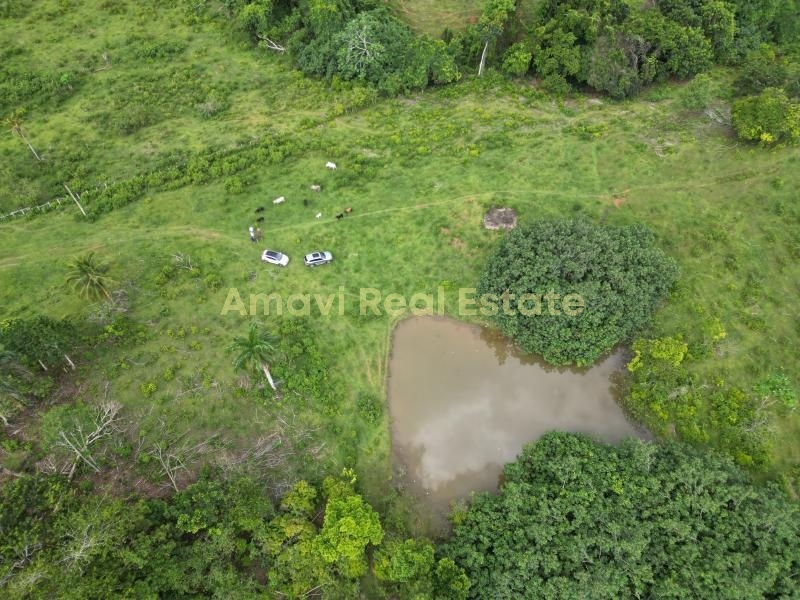 Las Terrenas, los puentes, 0 , 0 ,0,Land,For Sale,0,1314