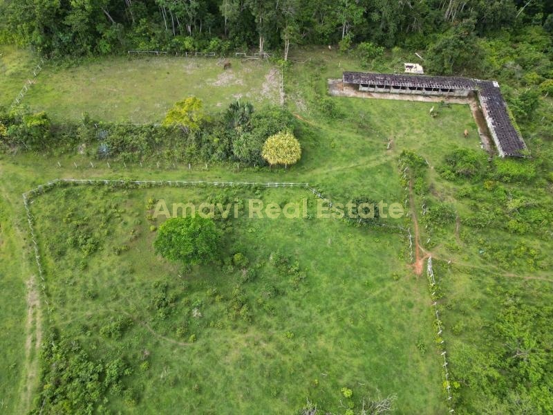 Las Terrenas, los puentes, 0 , 0 ,0,Land,For Sale,0,1314