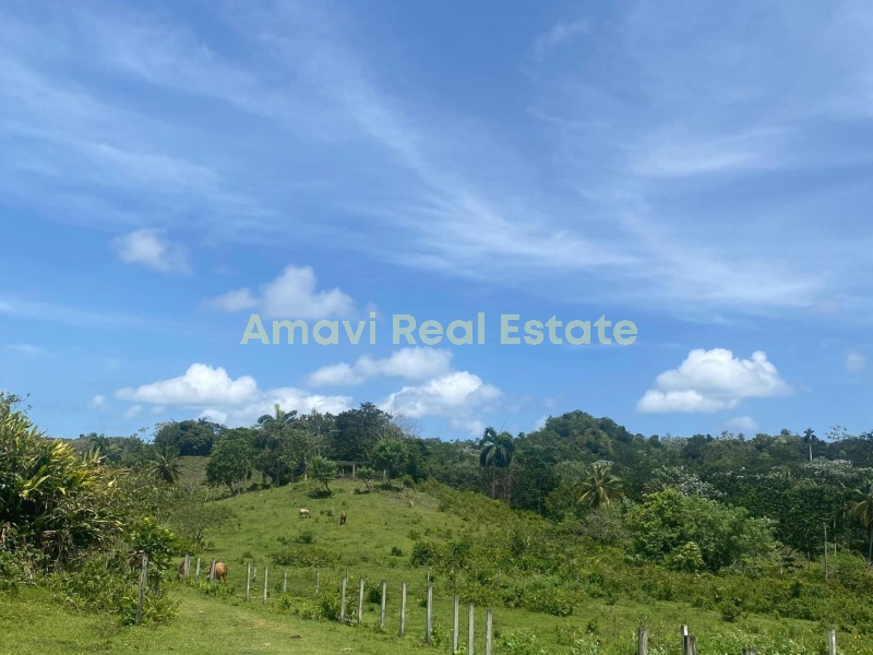 Las Terrenas, los puentes, 0 , 0 ,0,Land,For Sale,0,1314