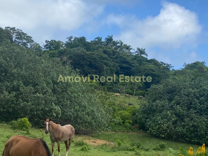 Las Terrenas, los puentes, 0 , 0 ,0,Land,For Sale,0,1314