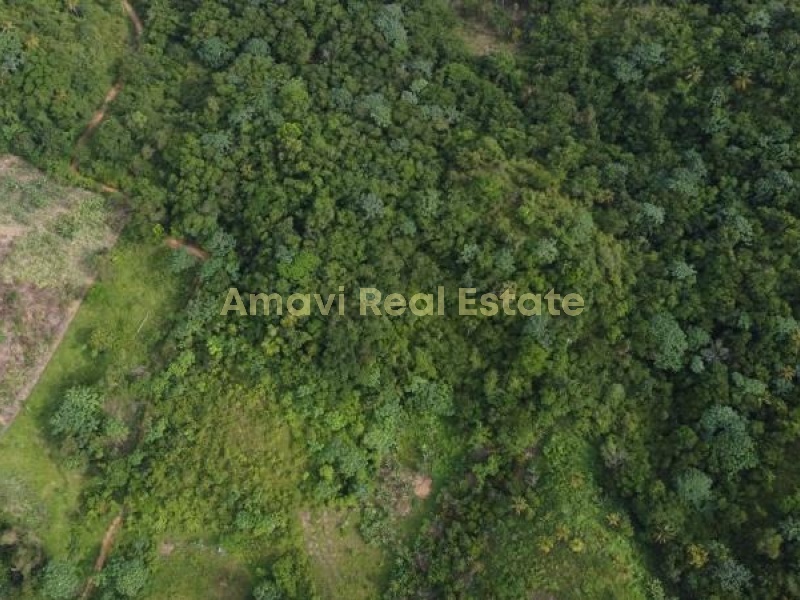 Las Terrenas, los puentes, 0 , 0 ,0,Land,For Sale,0,1314