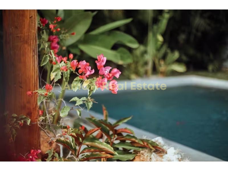 Playa Las Ballenas, 4 Bedrooms Bedrooms, 0 ,4 BathroomsBathrooms,Villa,For Sale,0,1319