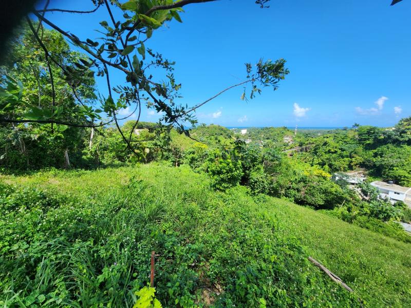 Coson, 0 , 0 ,0,Land,For Sale,0,1336