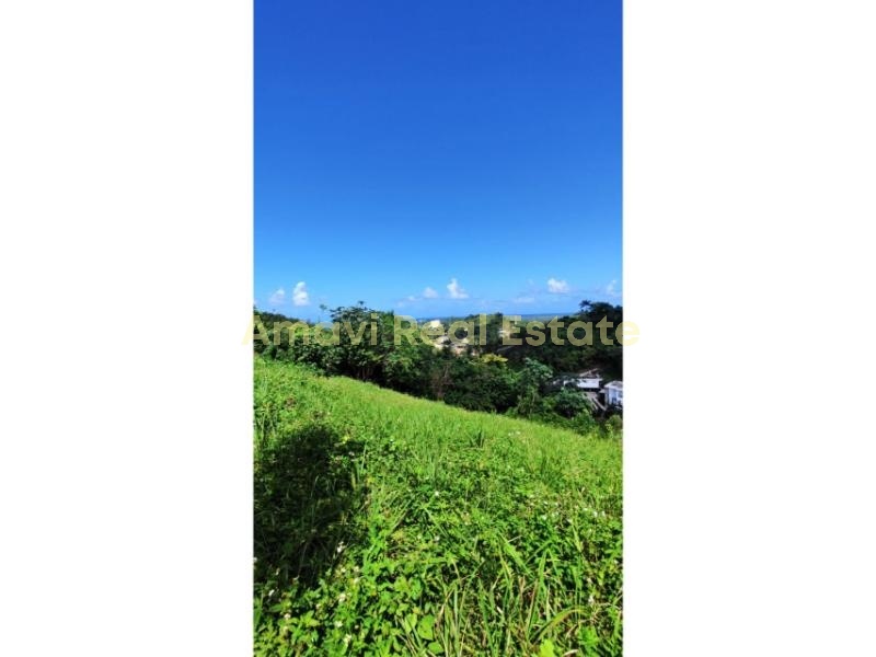 Coson, 0 , 0 ,0,Land,For Sale,0,1336 Coson, 0 , 0 ,0,Land,For Sale,0,1336