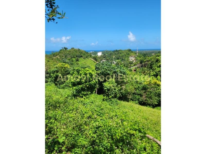 Coson, 0 , 0 ,0,Land,For Sale,0,1336 Coson, 0 , 0 ,0,Land,For Sale,0,1336