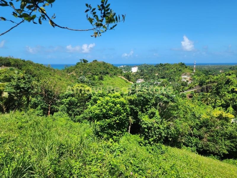 Coson, 0 , 0 ,0,Land,For Sale,0,1336 Coson, 0 , 0 ,0,Land,For Sale,0,1336