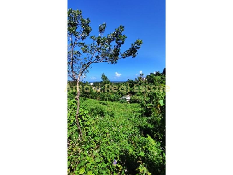 Coson, 0 , 0 ,0,Land,For Sale,0,1336 Coson, 0 , 0 ,0,Land,For Sale,0,1336