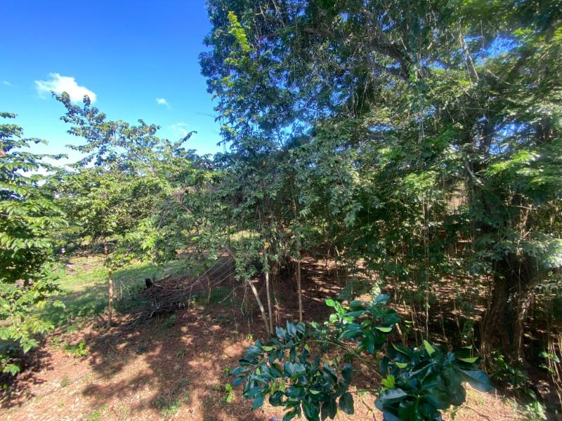 Abra Grande, 0 , 0 ,0,Land,For Sale,0,1353