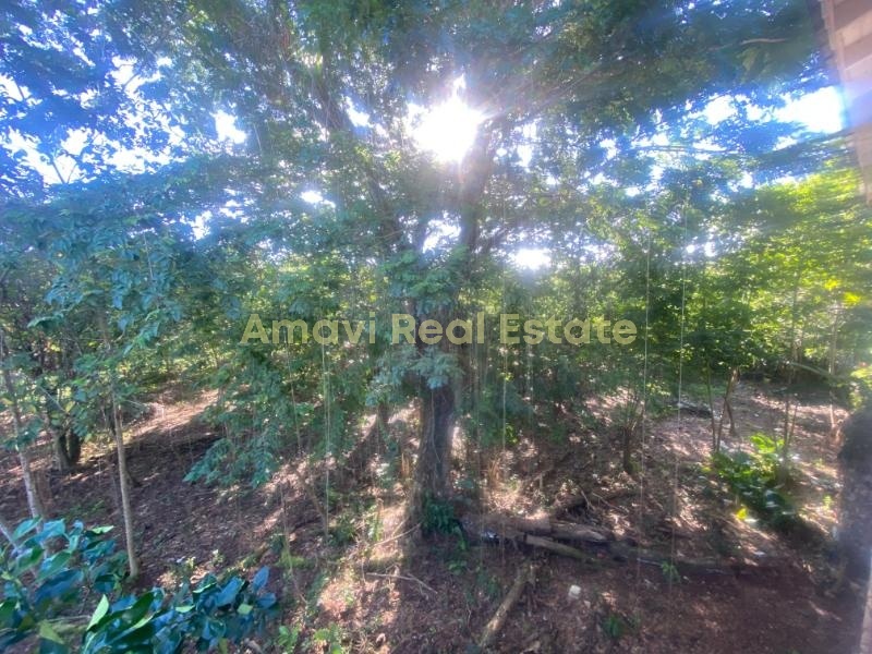 Abra Grande, 0 , 0 ,0,Land,For Sale,0,1353