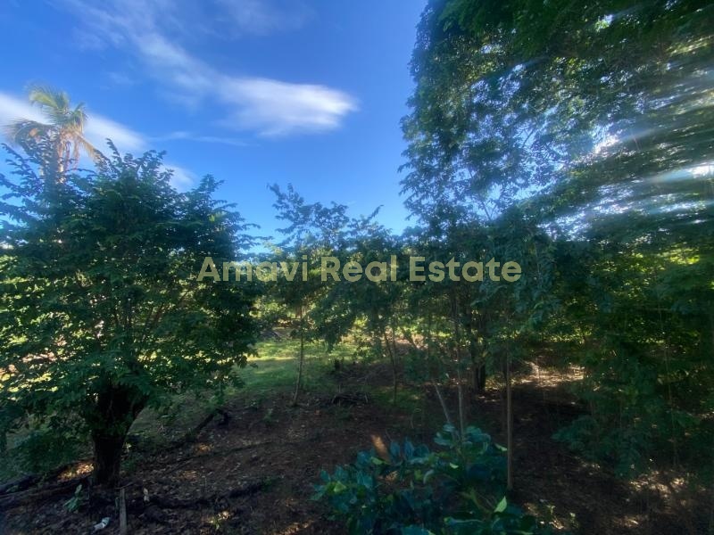 Abra Grande, 0 , 0 ,0,Land,For Sale,0,1353