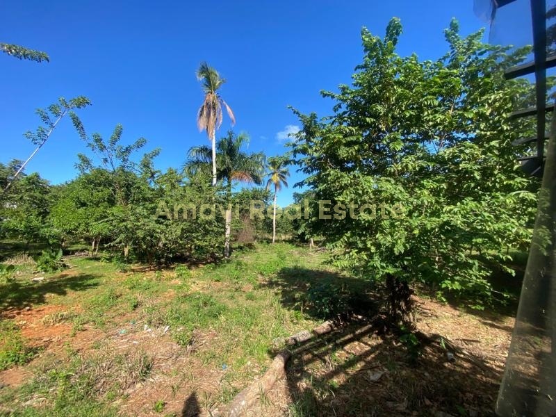 Abra Grande, 0 , 0 ,0,Land,For Sale,0,1353