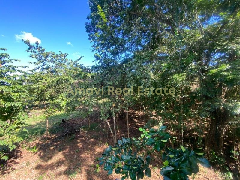 Abra Grande, 0 , 0 ,0,Land,For Sale,0,1353