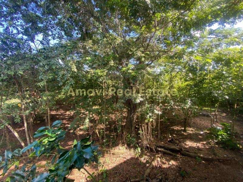 Abra Grande, 0 , 0 ,0,Land,For Sale,0,1353