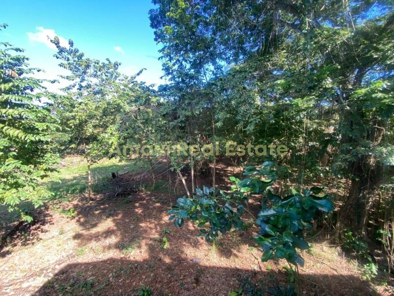 Abra Grande, 0 , 0 ,0,Land,For Sale,0,1353