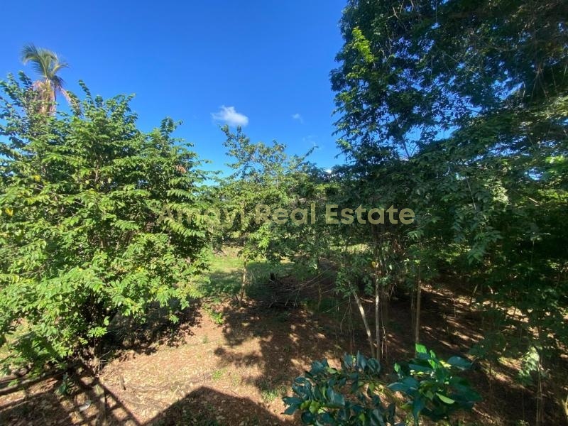 Abra Grande, 0 , 0 ,0,Land,For Sale,0,1353