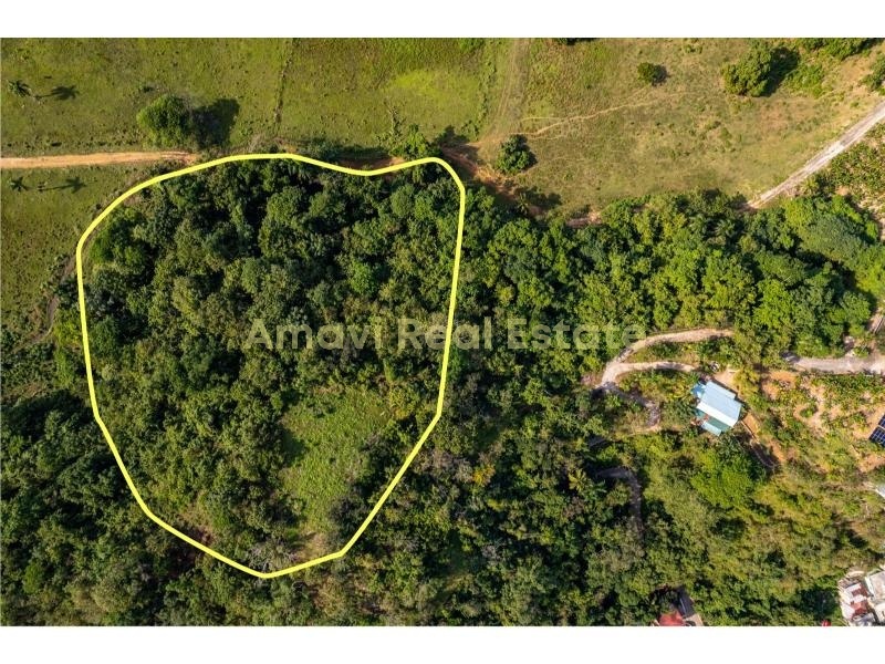 Las Terrenas, ciudad, 0 , 0 ,0,Land,For Sale,0,1359