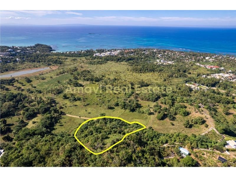 Las Terrenas, ciudad, 0 , 0 ,0,Land,For Sale,0,1359