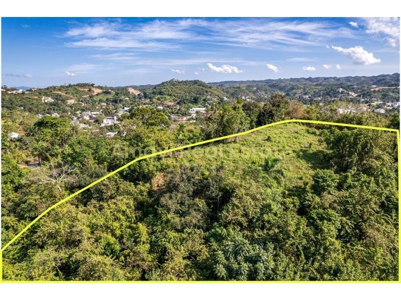 Las Terrenas, ciudad, 0 , 0 ,0,Land,For Sale,0,1359