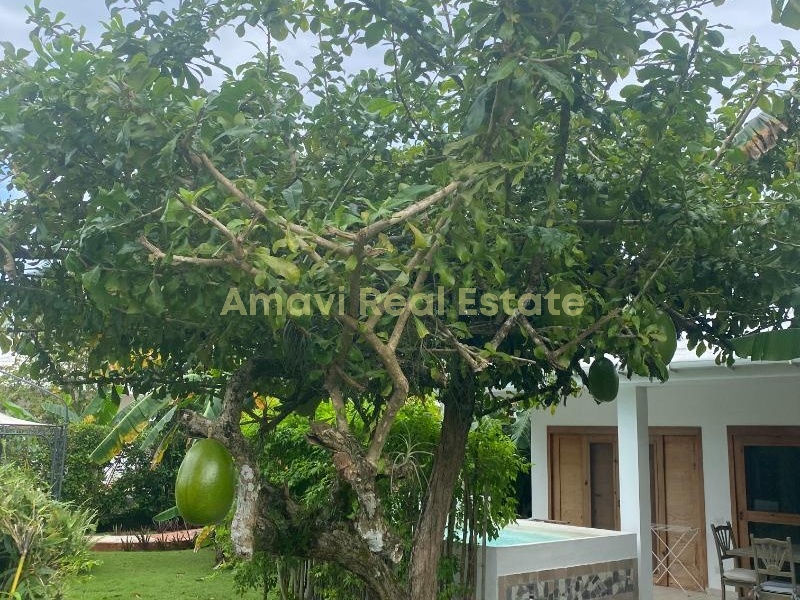 Las Terrenas, 4 Bedrooms Bedrooms, ,4 BathroomsBathrooms,Villa,For Sale,1039