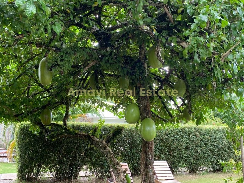 Las Terrenas, 4 Bedrooms Bedrooms, ,4 BathroomsBathrooms,Villa,For Sale,1039