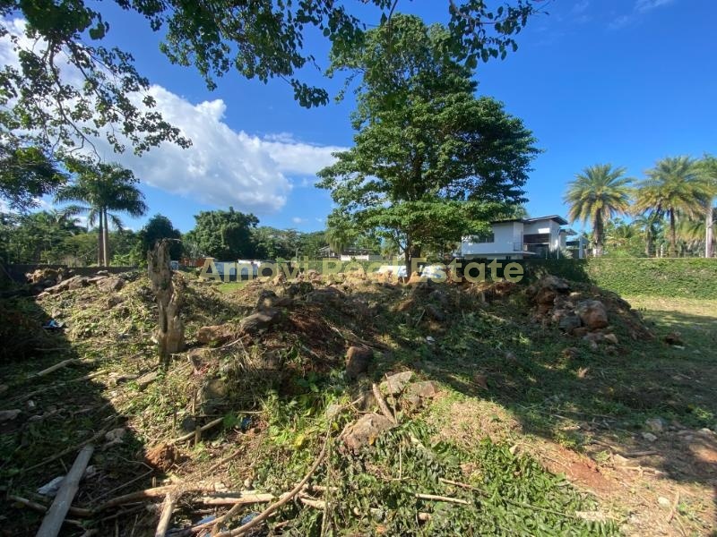 Las Terrenas, La Bonita, 0 , 0 ,0,Land,For Sale,0,1374