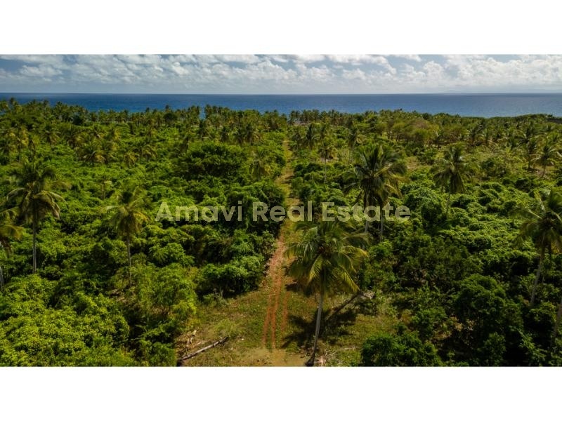 Las Galeras, 0 , 0 ,0,Land,For Sale,0,1379