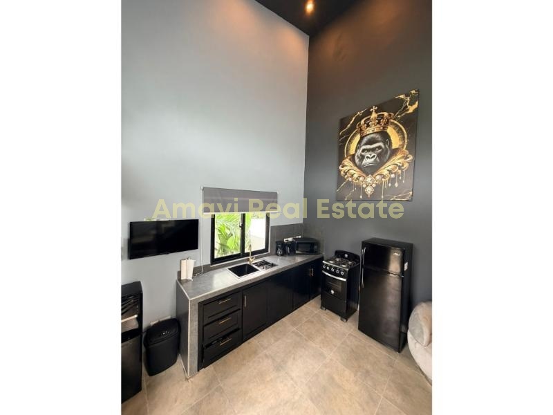 Playa Las Ballenas, 2 Bedrooms Bedrooms, 0 ,2 BathroomsBathrooms,Villa,For Sale,0,1387