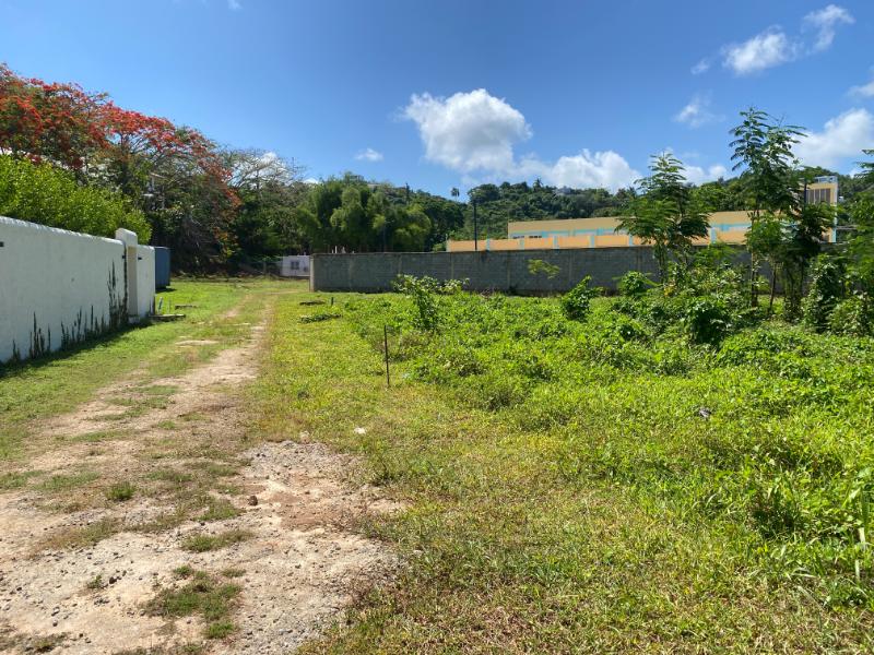 Las Terrenas, La Ceiba / Bonita, 0 , 0 ,0,Land,For Sale,0,1408