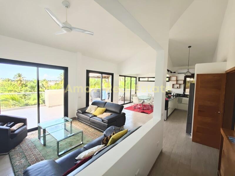 Abra Grande, 2 Bedrooms Bedrooms, 0 ,2 BathroomsBathrooms,Penthouse,For Sale,0,1422