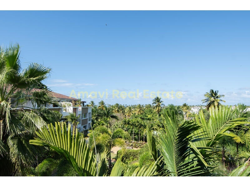 Abra Grande, 2 Bedrooms Bedrooms, 0 ,2 BathroomsBathrooms,Penthouse,For Sale,0,1422